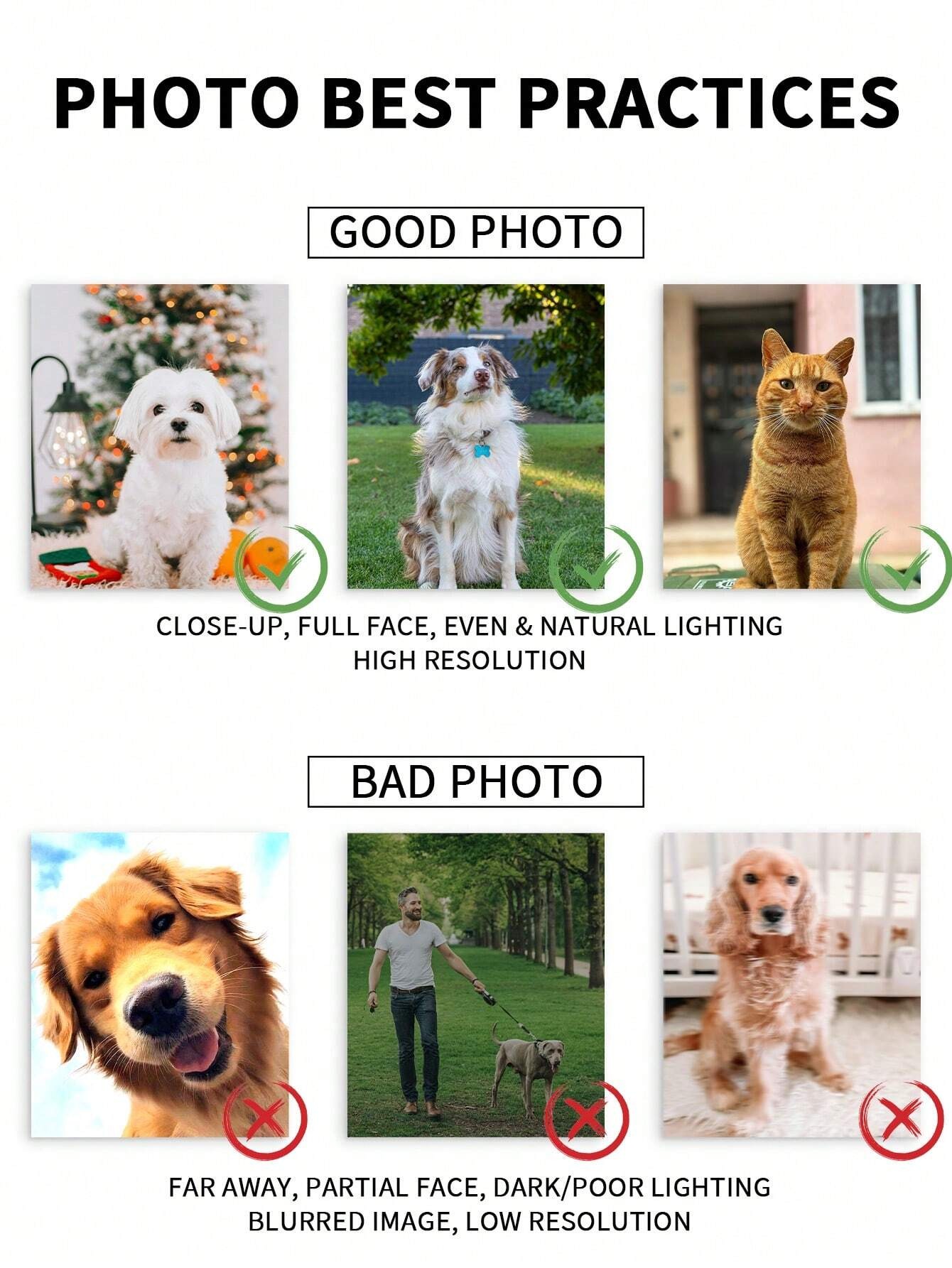 Customized Watercolor Pet Port - Pet Portrait Custom ulasan dan harga
